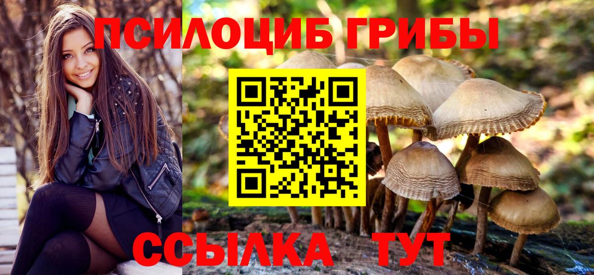 Чехов  Галлюциногенные грибы мухоморы  Вход с VPN 