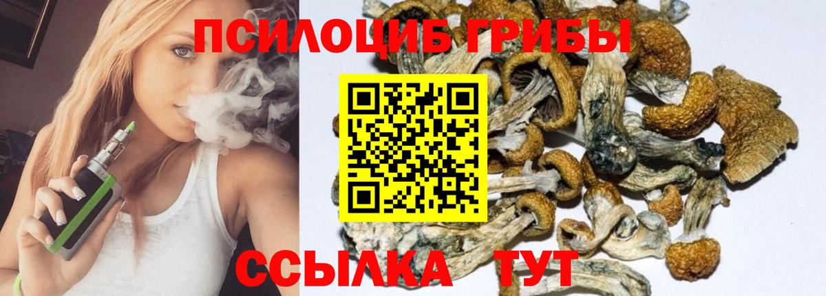 Галлюциногенные грибы Cubensis Чехов